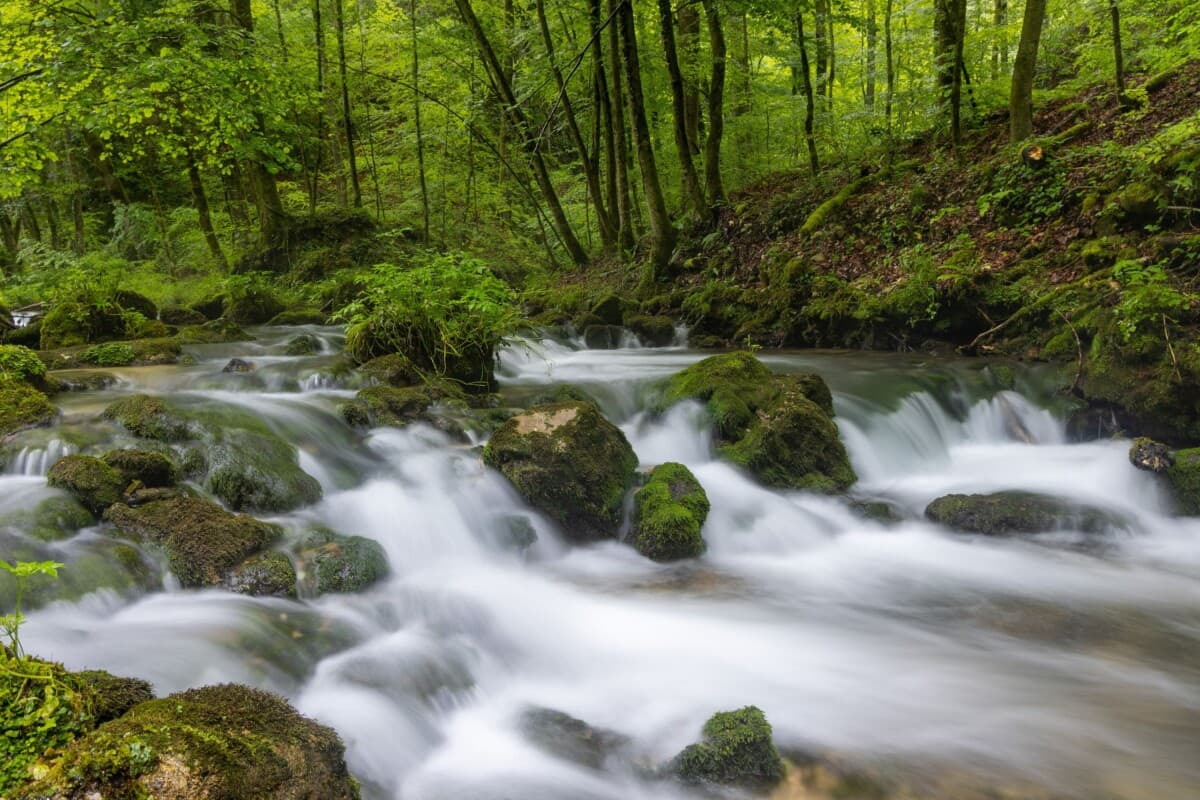 Gorski potoci i izvori čekaju korištenje?