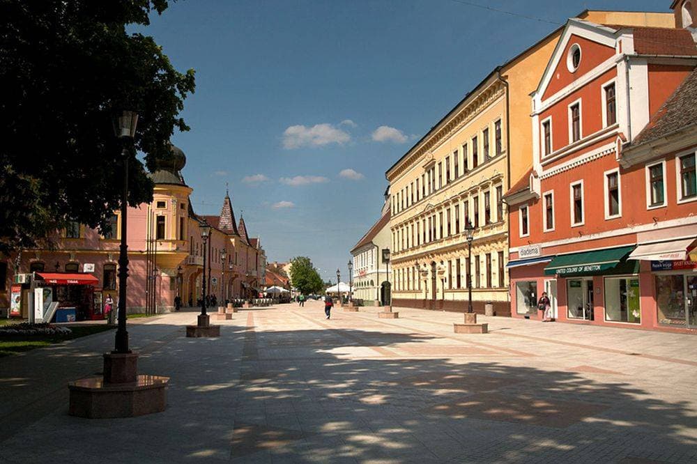 Slika