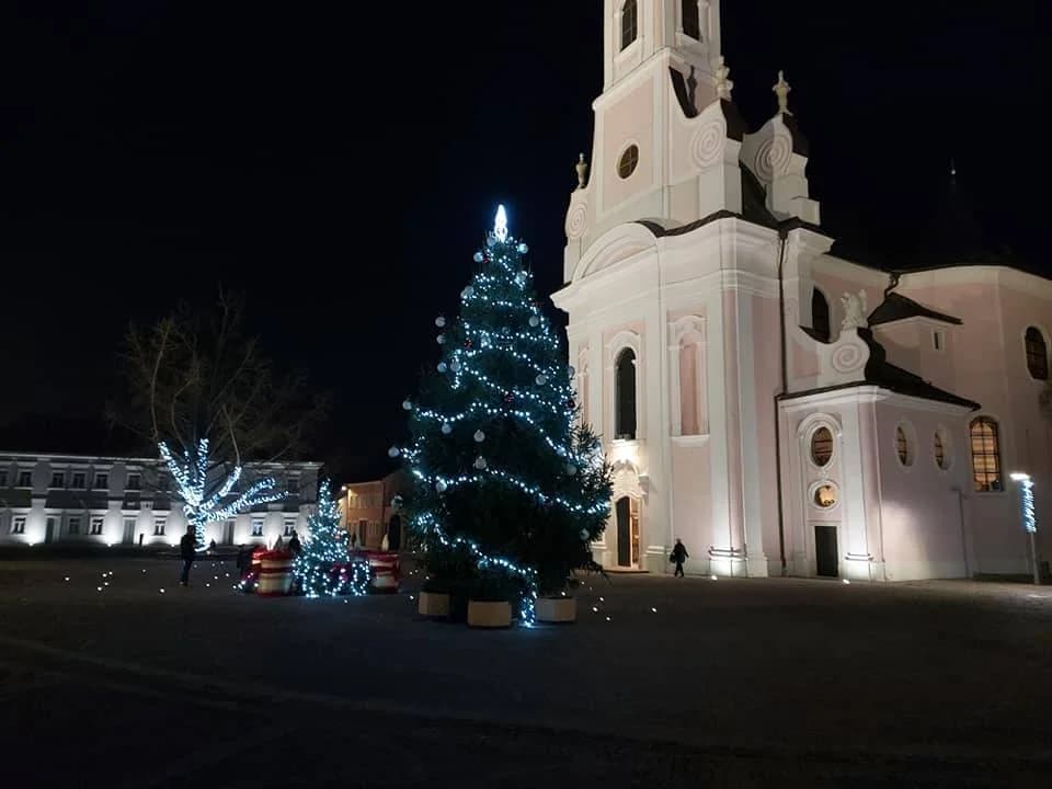 Slika