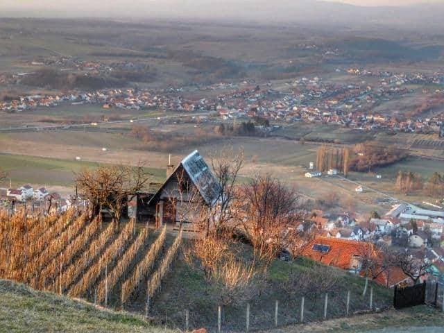 Slika