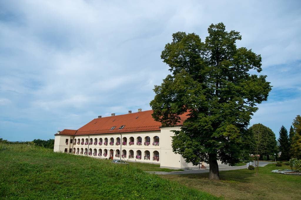 Slika