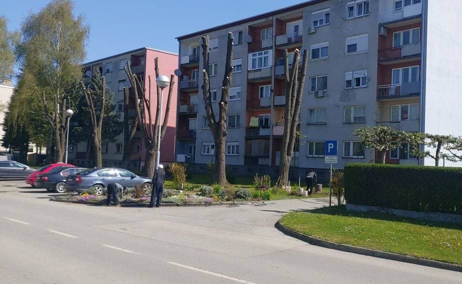 Slika
