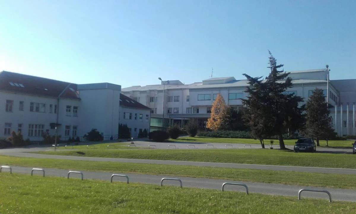 Slika