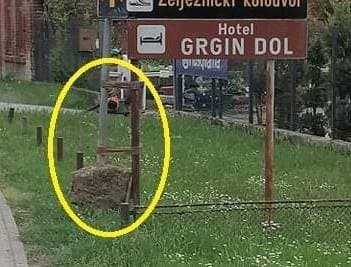 Slika