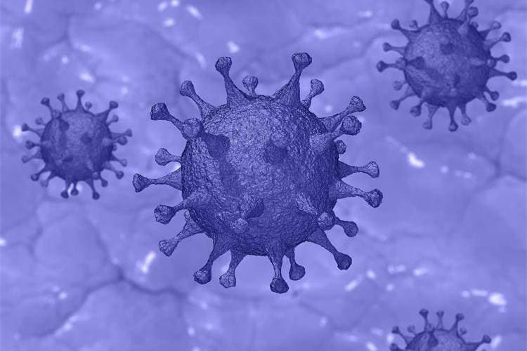 Slika