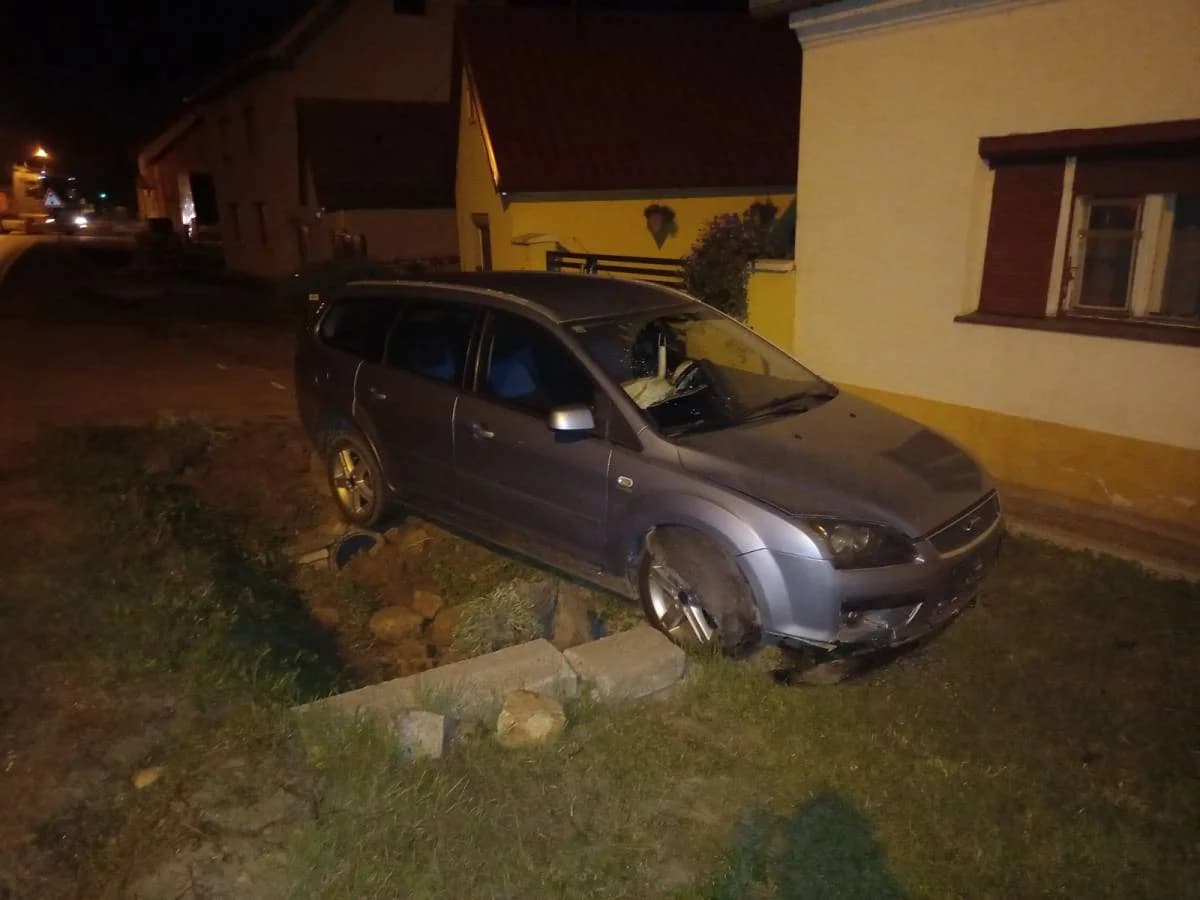 Slika