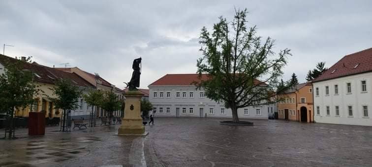 Slika