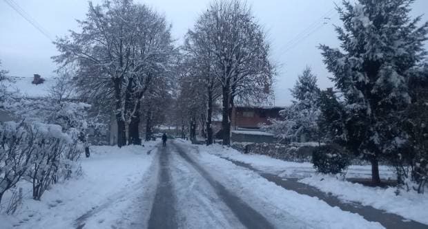 Slika