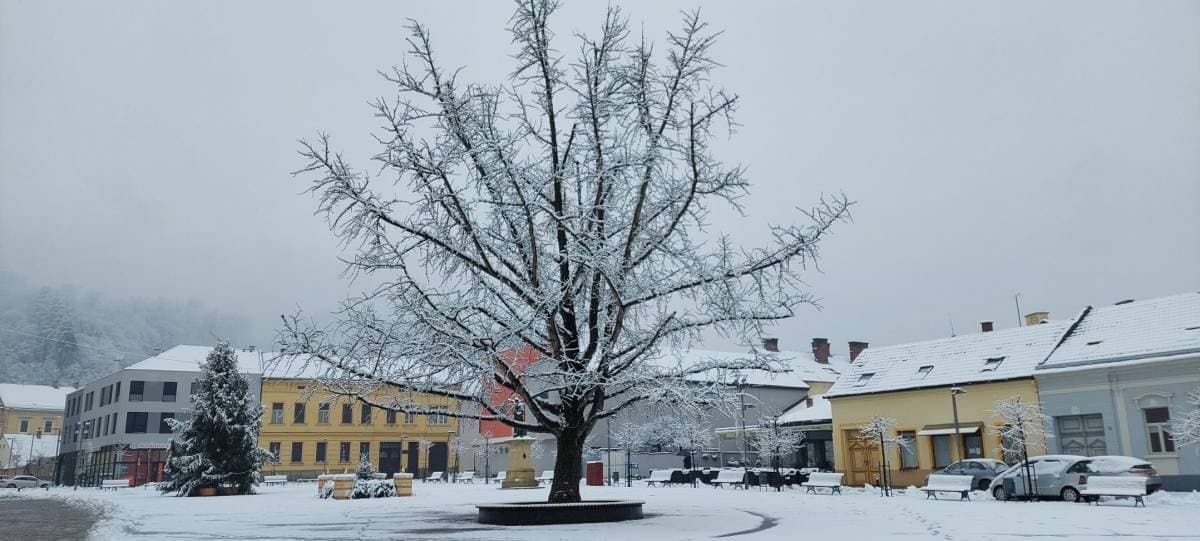 Slika