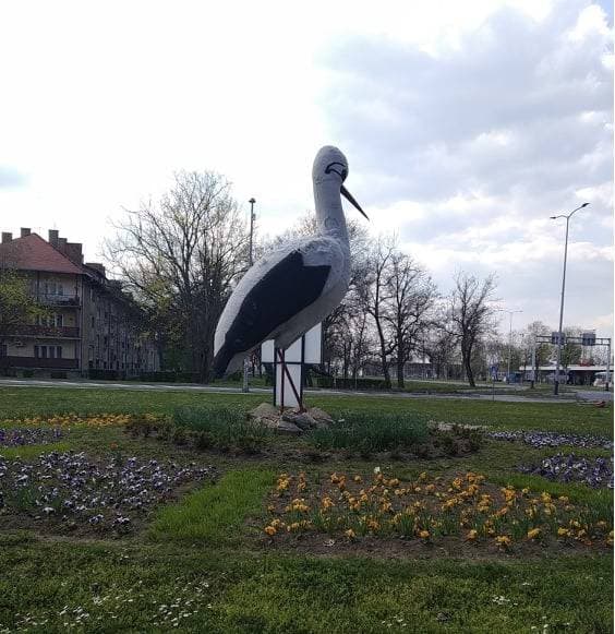 Slika
