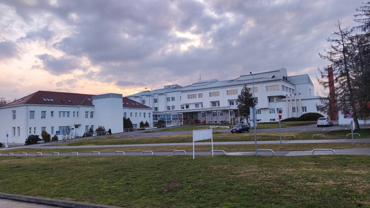 Slika