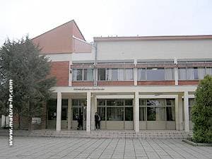 Slika