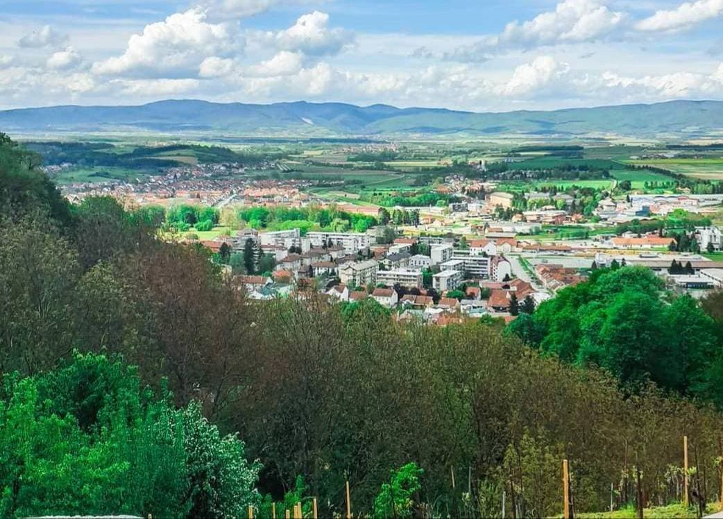 Slika