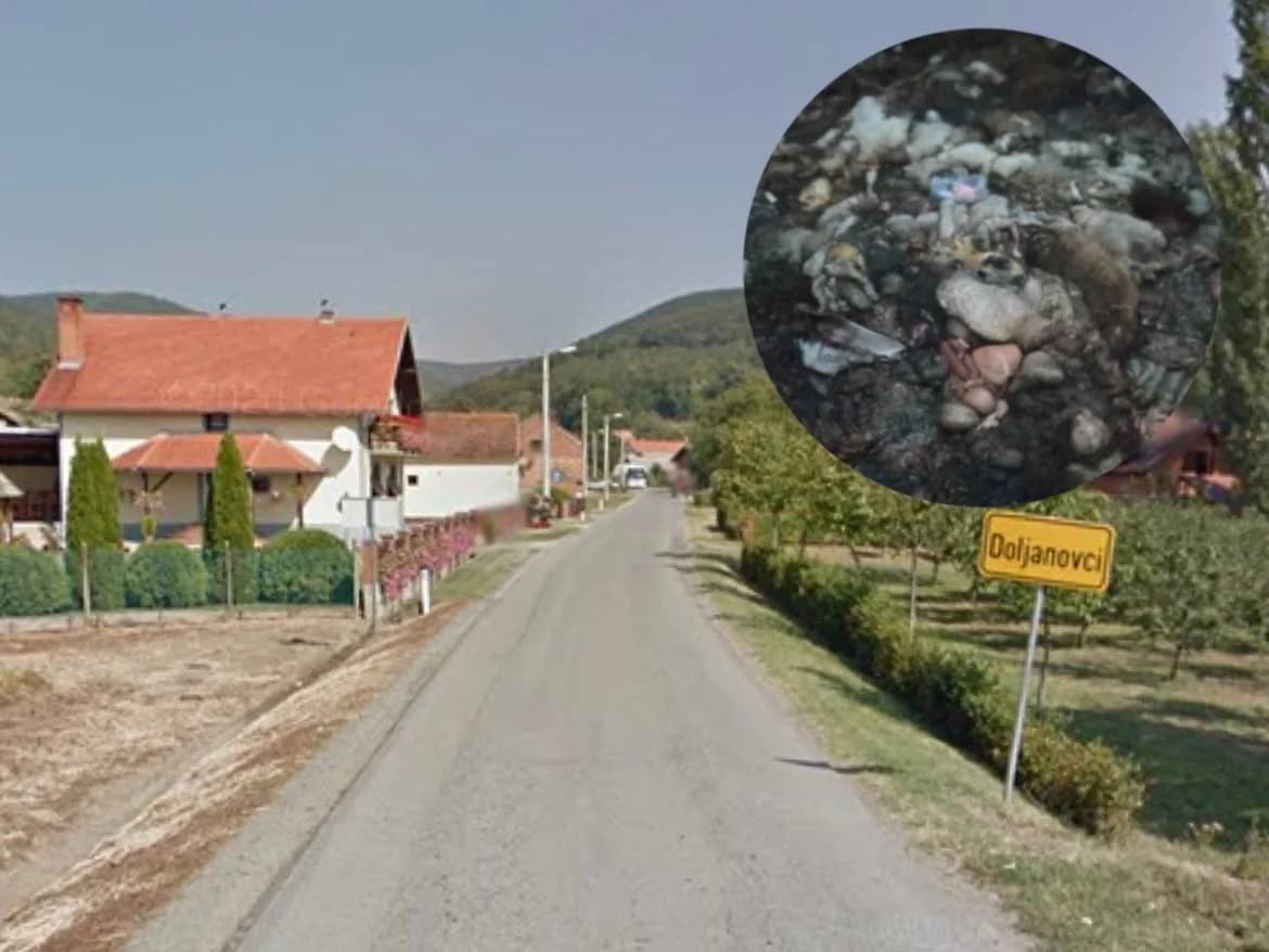 Slika
