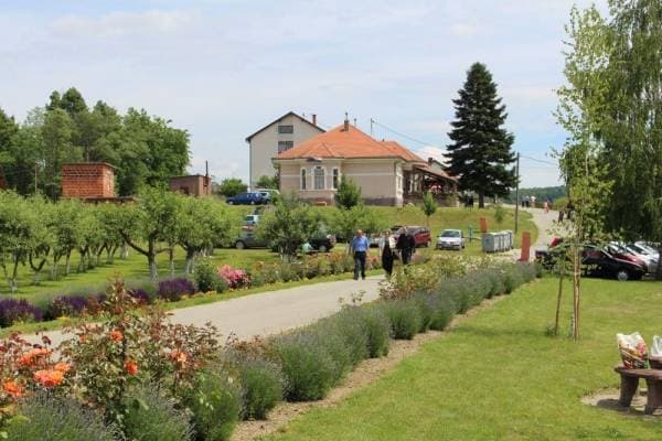 Slika