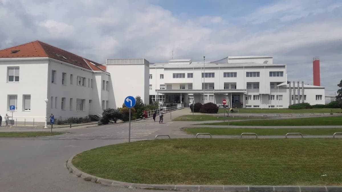 Slika
