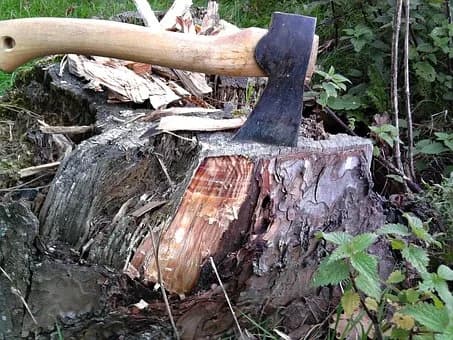 Raste potražnja za ogrjevnim drvima, a samoizrada je sve rjeđa