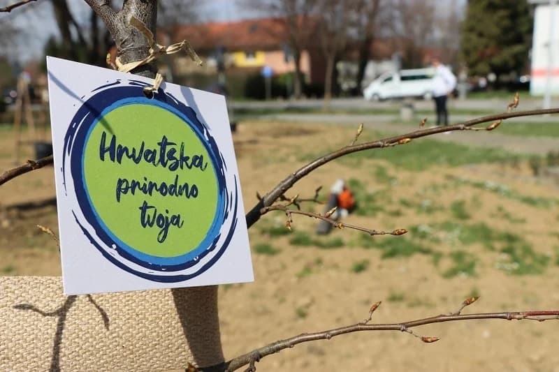 Zasađena nova stabla u sklopu projekta „Hrvatska prirodno tvoja“
