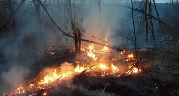 Fotografija nije povezana s događajem