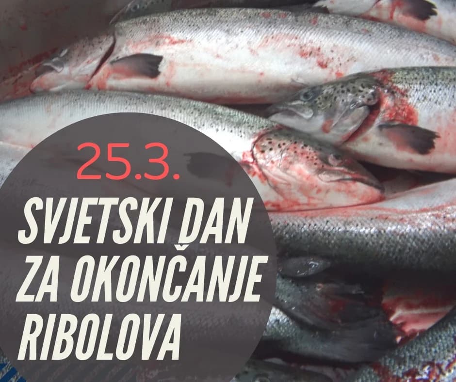 Danas je Svjetski dan za okoncanje ribolova