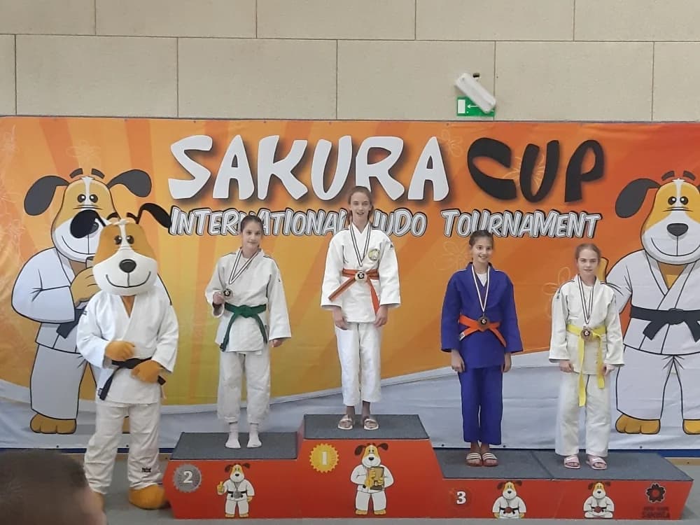 Šest medalja za Judo klub Slavonac u Svetoj Nedjelji
