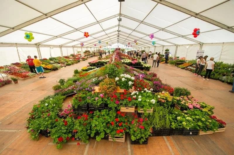 Poziv za sudjelovanje na 15. sajmu cvijeća „Florafest“