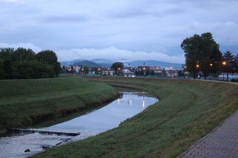 Slika
