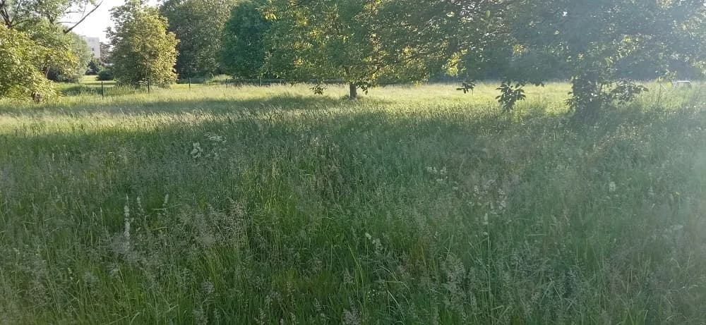 Pogledajte kakav je plan košnje na području grada Slavonskog Broda