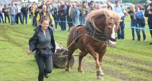 Sutra se održavaju ’Zlatne grive Zlatne doline’ u Mihaljevcima 