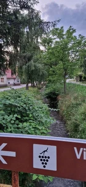 VAPAJ ČITATELJA: Kad će biti pokošena trava u Vetovu?