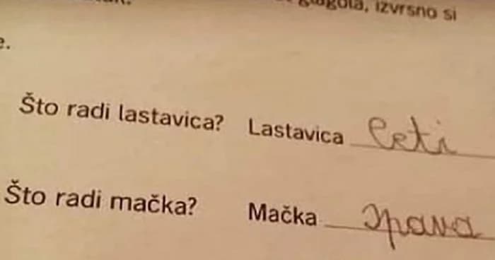 Djeca, zadaća