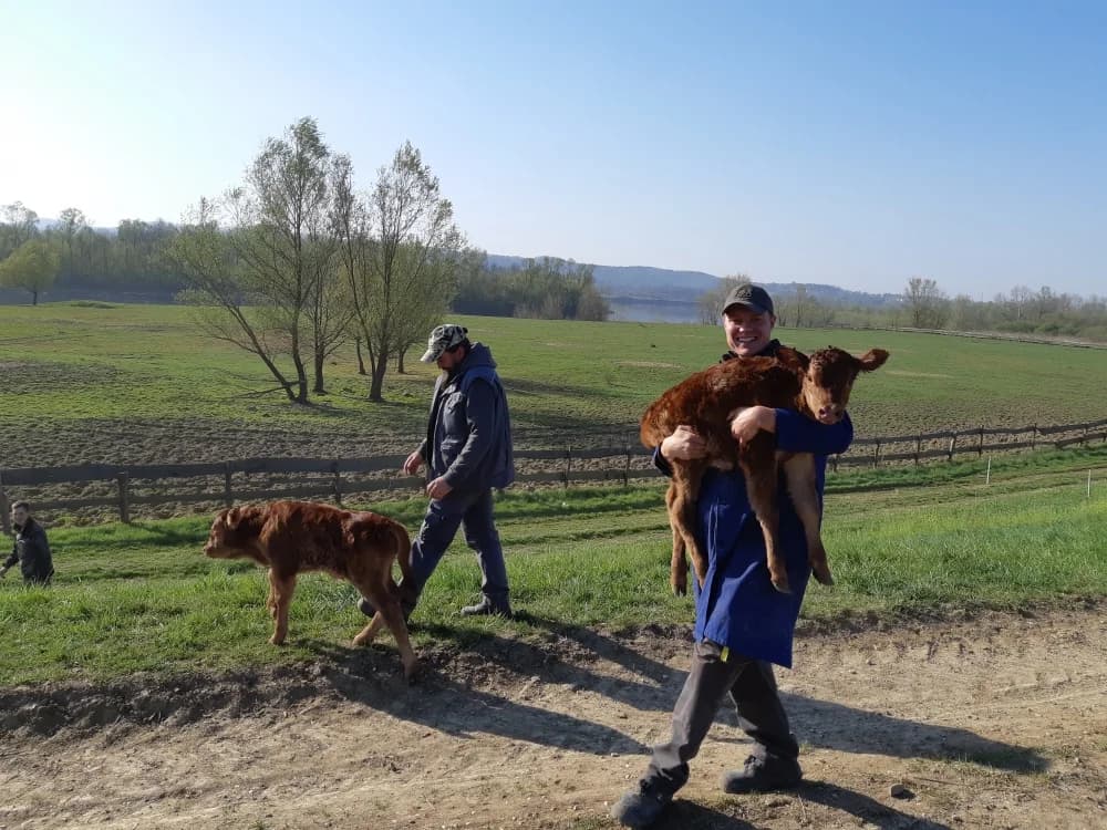 Slika