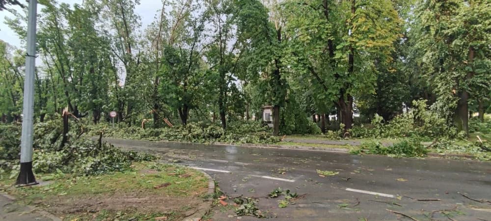 Važne informacije: “Vatrogasci s korpama na terenu. Ne prilaziti oštećenim zgradama, zabranjen ulazak u parkove
