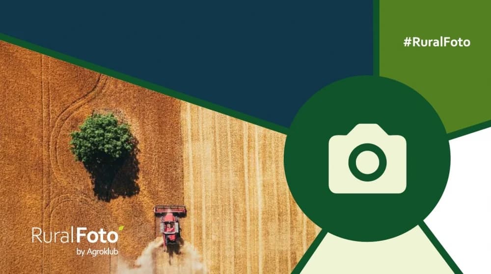 Biraju se najbolje ruralne fotografije u 2023. godini – prijavite svoju