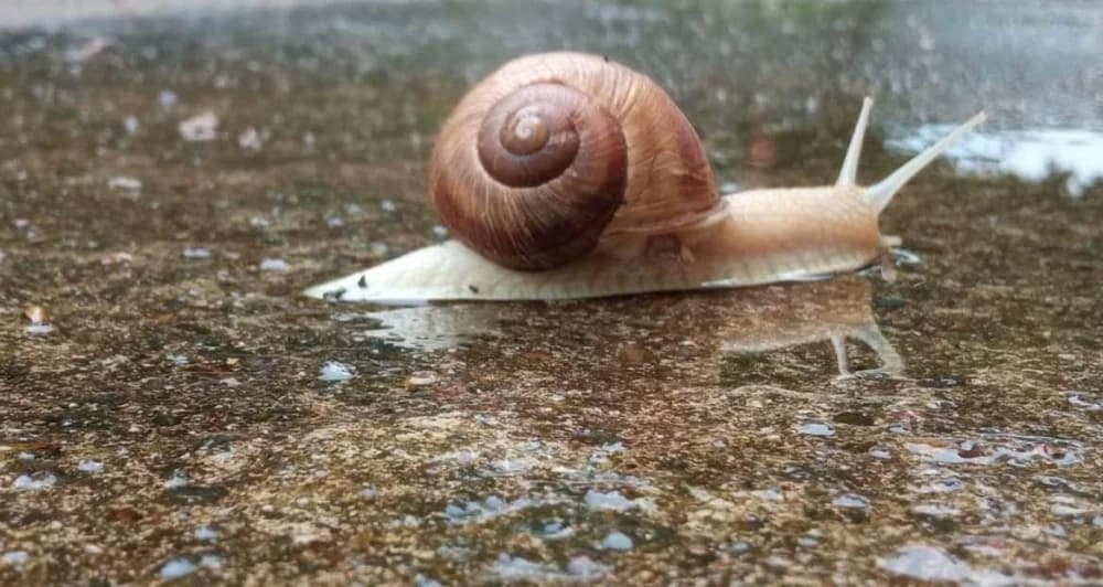 Danas oblačno uz kišu