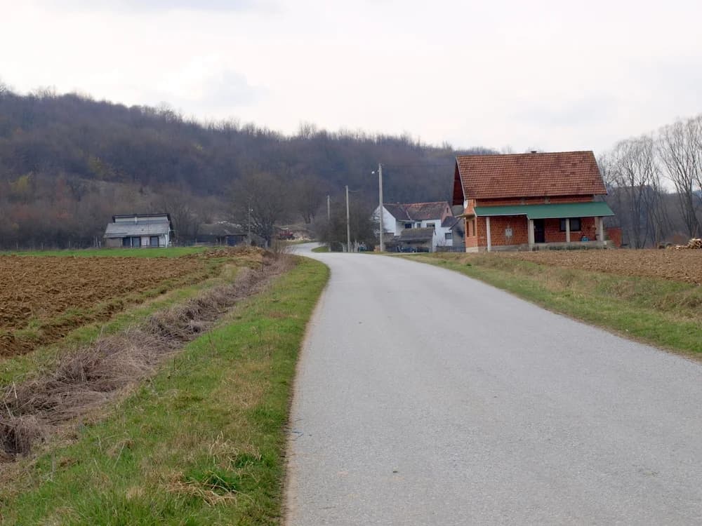 Slika