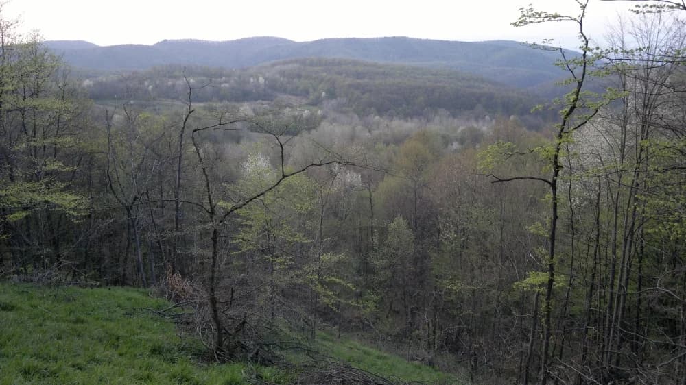 Obavijest za planinarke i planinare - ne preporuča se kretanje Požeškom gorom i njenim zapadnim dijelom Babjom gorom