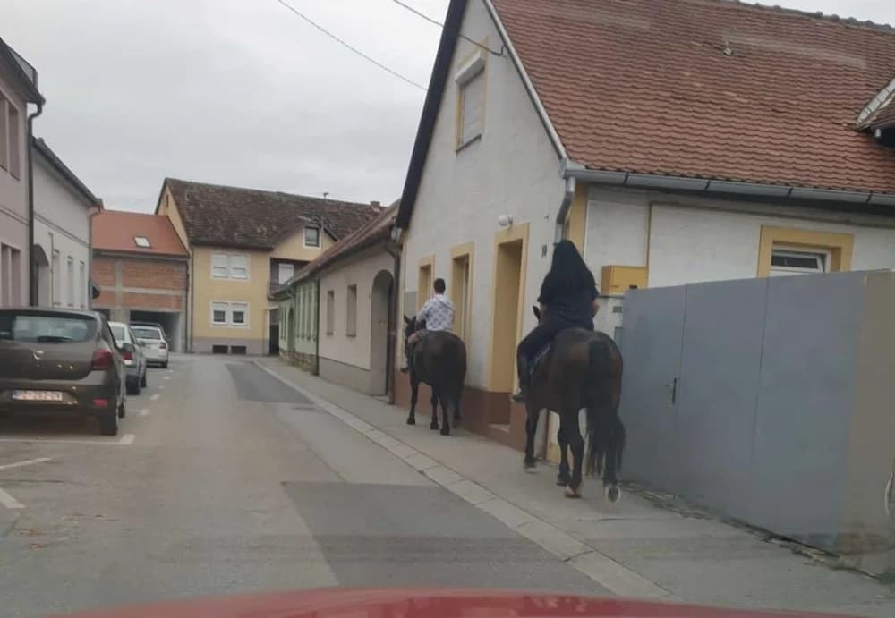 Konji u centru Požege