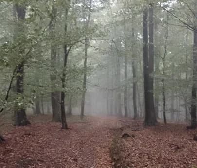 Planinarske staze u Kutjevu
