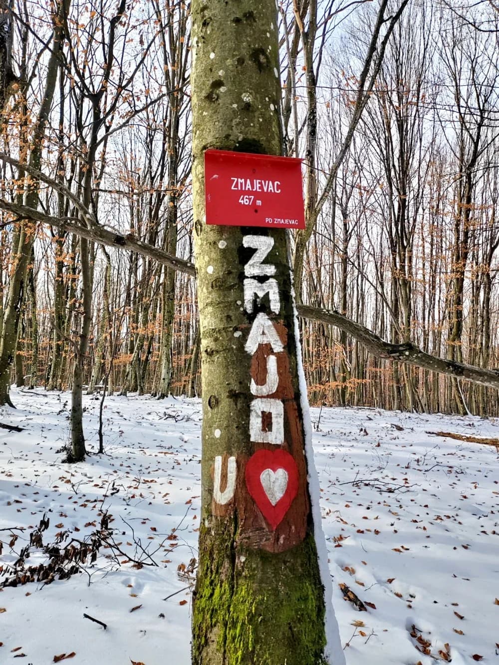 HPD GOJZERICA: 24. Zimski pohod Novskim brdom - PD Zmajevac