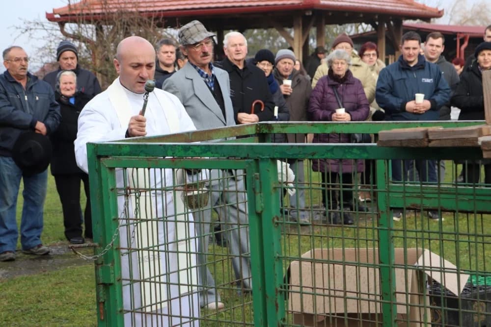 Gaj proslavio dan svog zaštitnika uz licitaciju životinja i tradicionalnu sv. misu