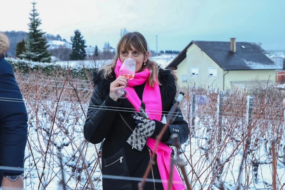 Proslava Vincelova u Vinariji Krauthaker ponovno spojila zeleno i plavo