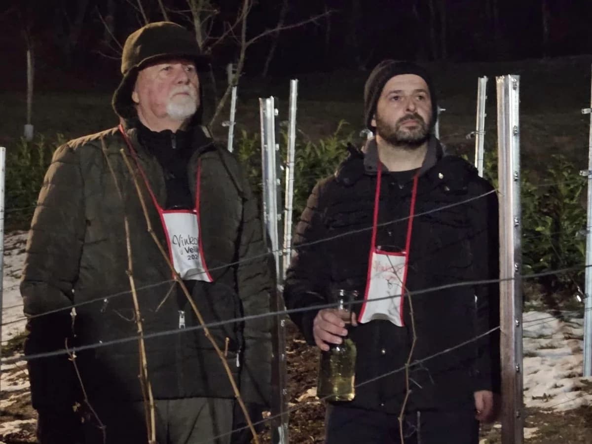 Održano 31. Vinkovo u Velikoj