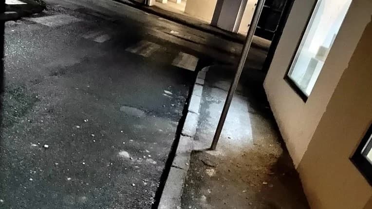 Slika