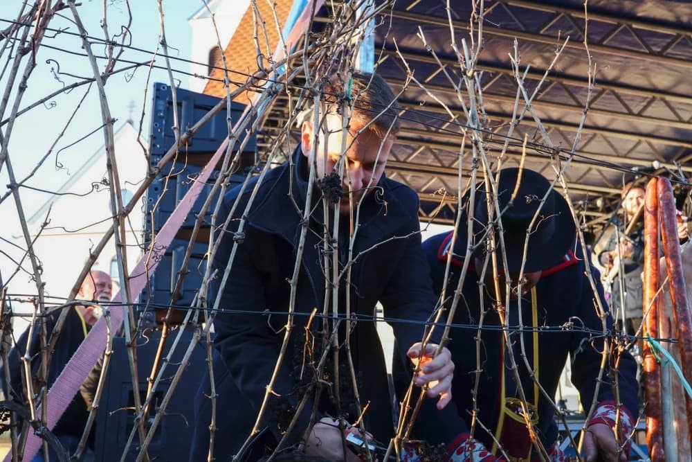 Najveće Vincelovo u županiji: Vetovčani stavili točku na i ovogodišnjim vincelovskim proslavama