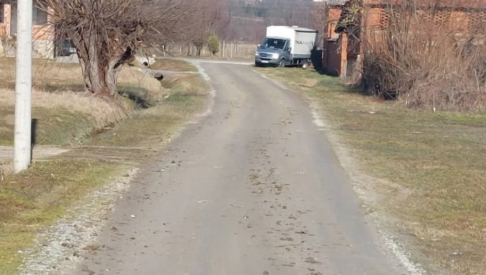 Slika