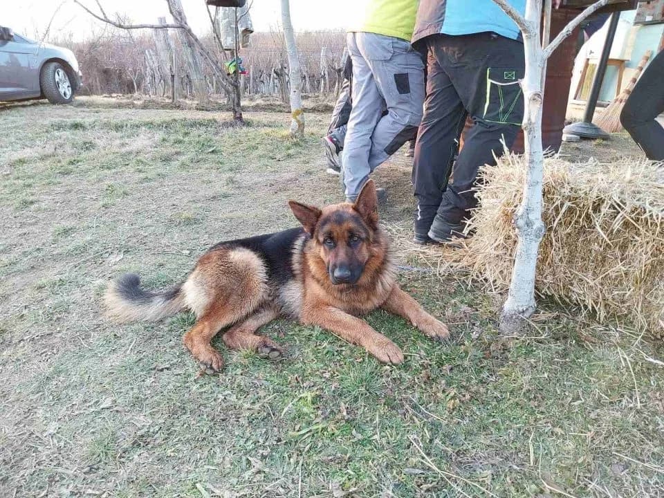 FOTO: Proslava Vincelova kod obitelji Previšić