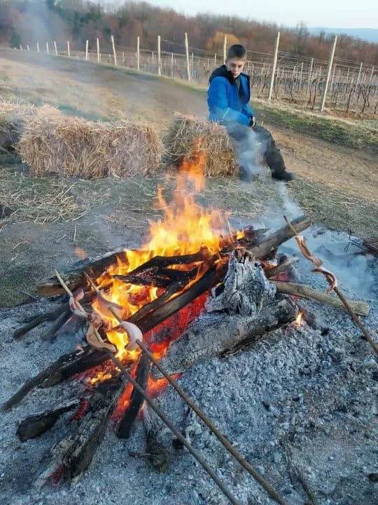 FOTO: Proslava Vincelova kod obitelji Previšić