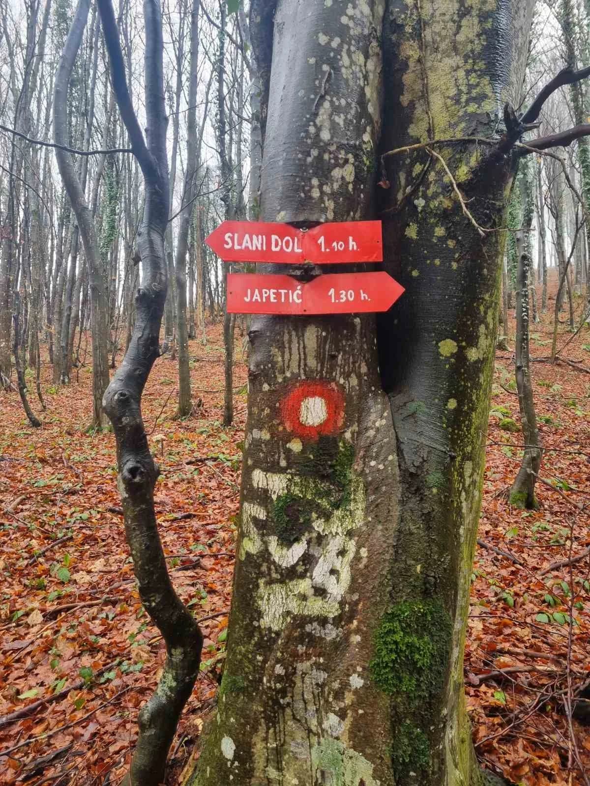 FOTO: Planinari HPD Gojzerica na izletu Samoborskim gorjem