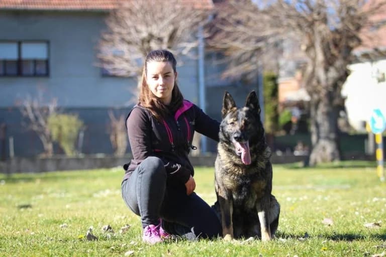 Priča o Sandri Križanović iz Kutjeva: Dresura pasa s ljubavlju i stručnošću
